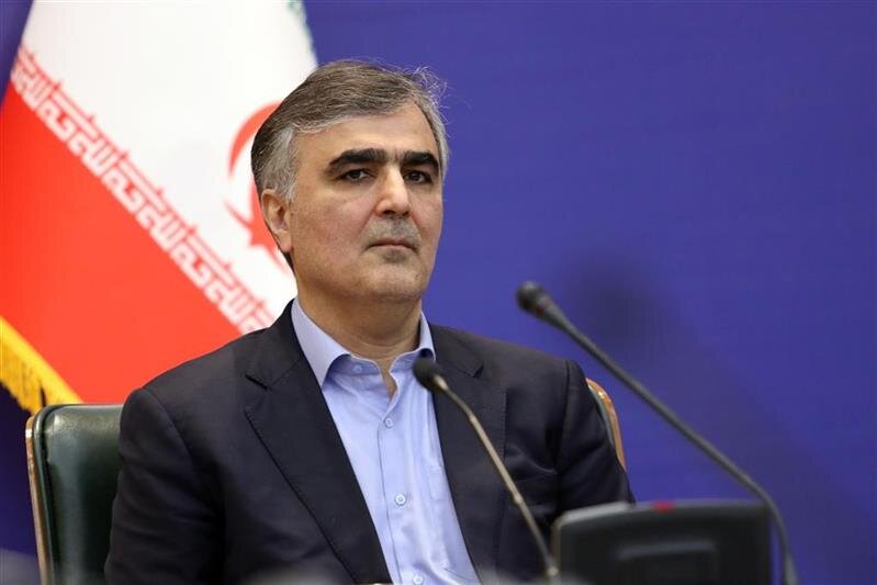 باید سرمایه ایران را در «صندوق بین‌المللی پول» افزایش دهیم