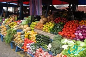 خوراکی‌های ضد استرس را بشناسید | رازهایی برای کنترل اضطراب در زمستان