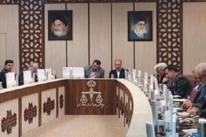 فعالان اقتصادی می‌توانند از حمایت دیوان عدالت اداری برخوردار شوند
