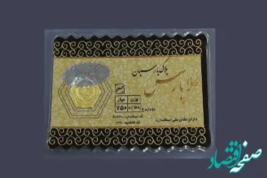 قیمت سکه پارسیان ۵۰۰ سوت + قیمت سکه پارسیان امروز سه شنبه ۸ آبان ماه ۱۴۰۳