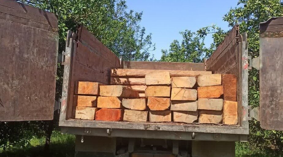 ۱۵ تن چوب جنگلی قاچاق در ساری کشف شد