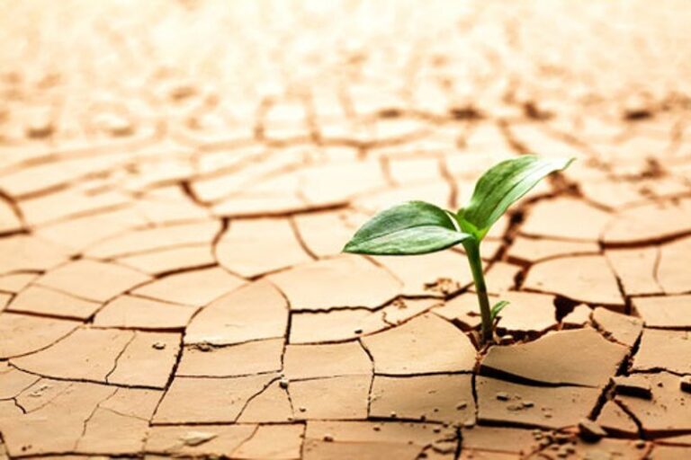 ۴۲۵ هزار هکتار از عرصه های منابع طبیعی ایلام را بیابان تشکیل می دهد