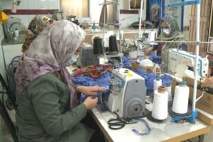 بازرسی اشتغال اتباع غیرمجاز در پردیس