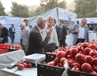 شیرازی‌ها، میهمان سومین جشن انار و خرمالو در دل باغ‌های پاییزی شهر هزار راز